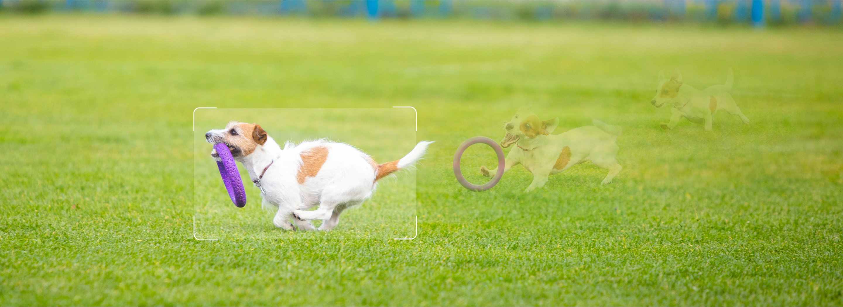 IPC‑K7FP‑5H0WE | Cruiser SC (5MP) IPC‑K7FP‑5H0WE | Cruiser SC (5MP)
