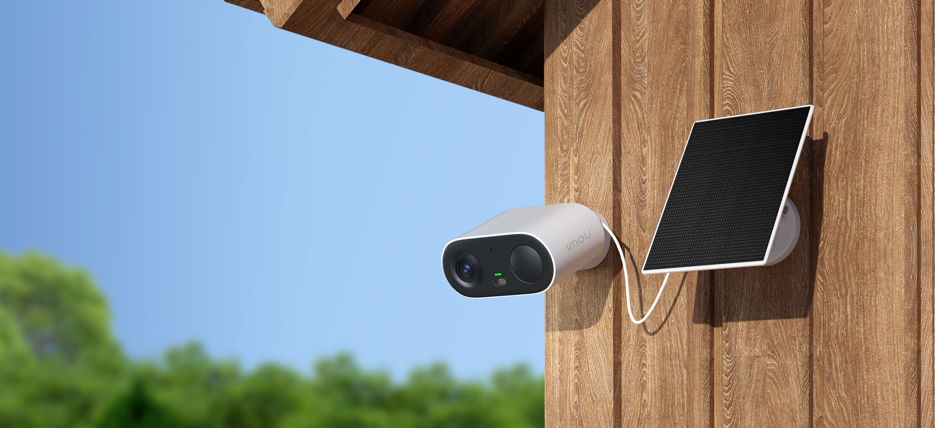 Cell Go Full Color Cell Go Full Color