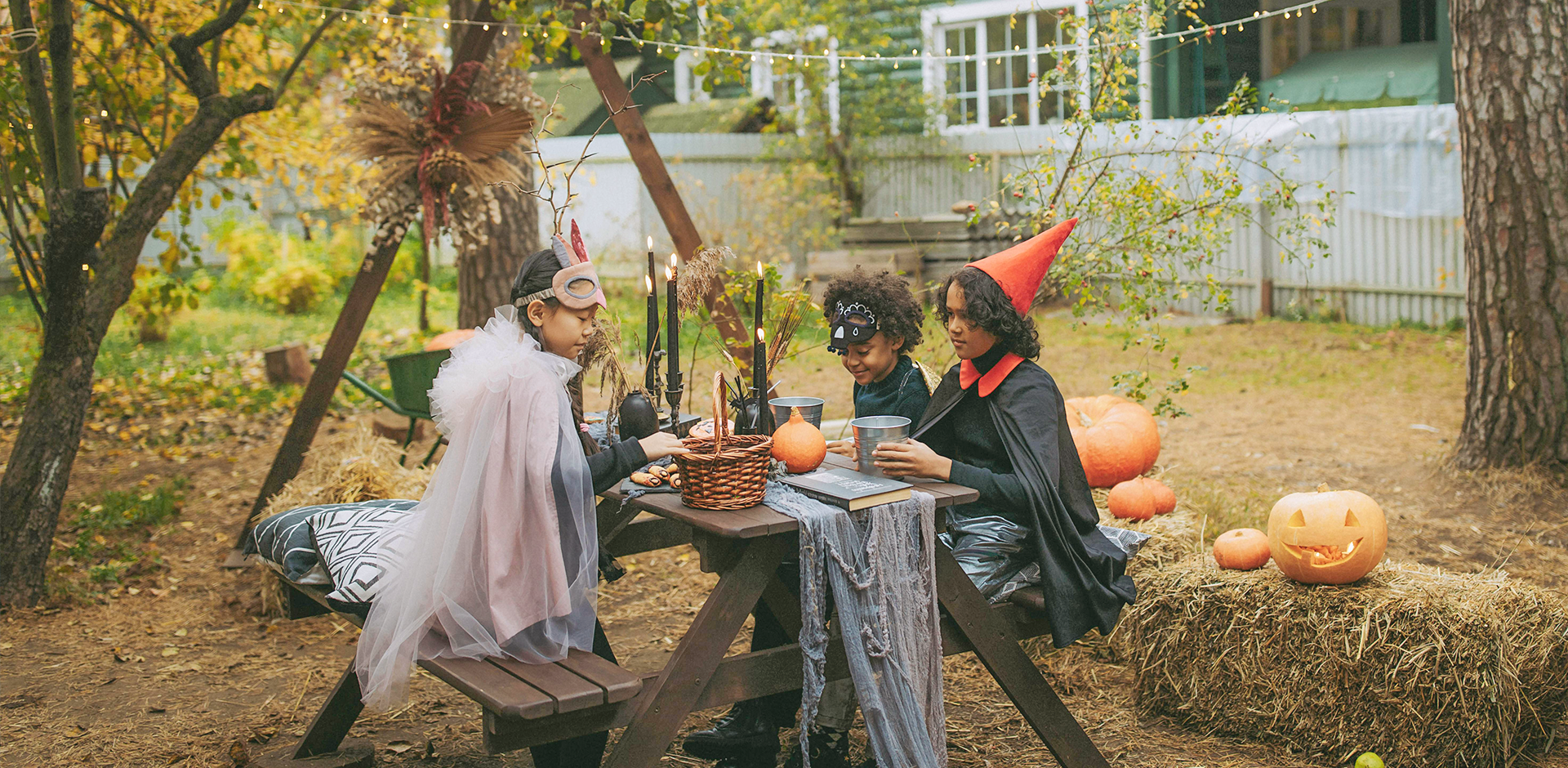 Cell 3C (3MP) Cell 3C (3MP)