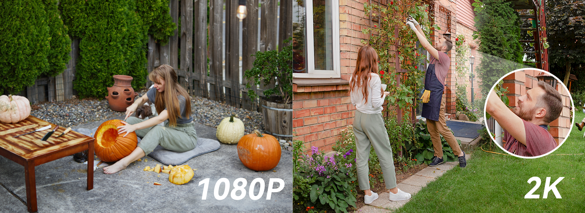 Cell Go Full Color Cell Go Full Color