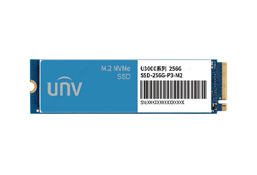SSD-256G-P3-M2 SSD-256G-P3-M2