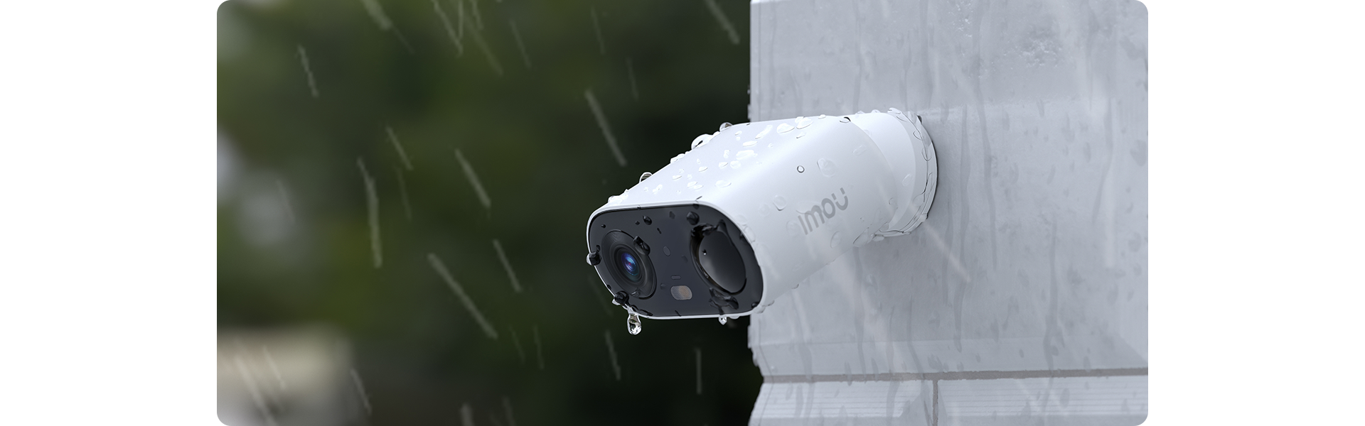 Cell Go Full Color Cell Go Full Color