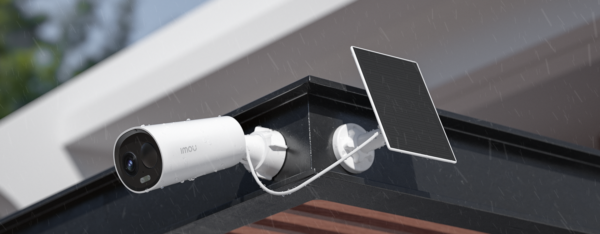 Cell 3C (3MP) Cell 3C (3MP)